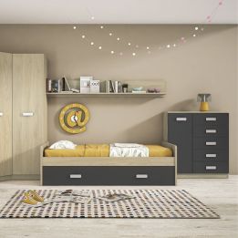 Cómoda Grande para Dormitorio o Salón – Natural y Grafito, 60 x 108 x 60 cm, 1 Puerta y 5 Cajones de Almacenaje.