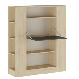 Estantería con Escritorio, Mesa de Ordenador, Acabado en Cambrian y Grafito, Medidas: 119,6 cm (Largo) x 139,6 cm (Alto) x 34