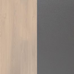 Estantería con Escritorio, Mesa de Ordenador, Acabado en Cambrian y Grafito, Medidas: 119,6 cm (Largo) x 139,6 cm (Alto) x 34